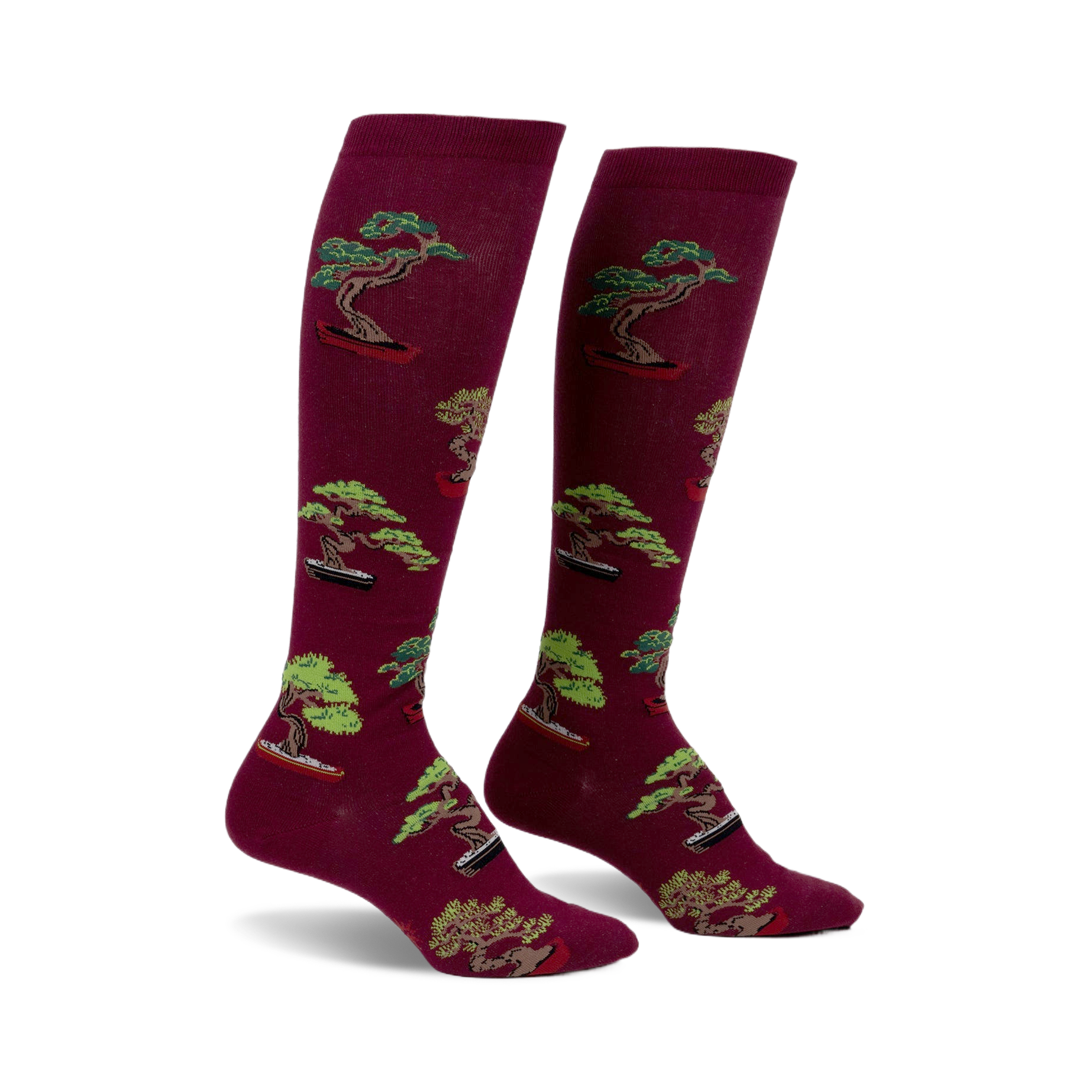 Pair of burgundy knee-high socks with a repeating pattern of green bonsai trees in terracotta pots.