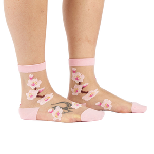 Cherry Blossoms