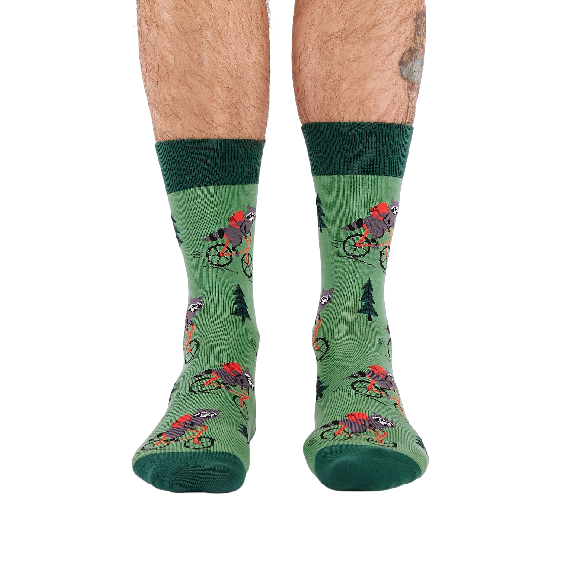Person's lower legs and feet, seen from the front, wearing green raccoon bicycle socks. White background.