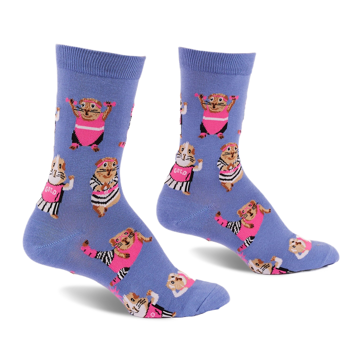 Pair of periwinkle blue crew socks with a pattern of guinea pigs in pink workout gear and headbands, lifting small weights.