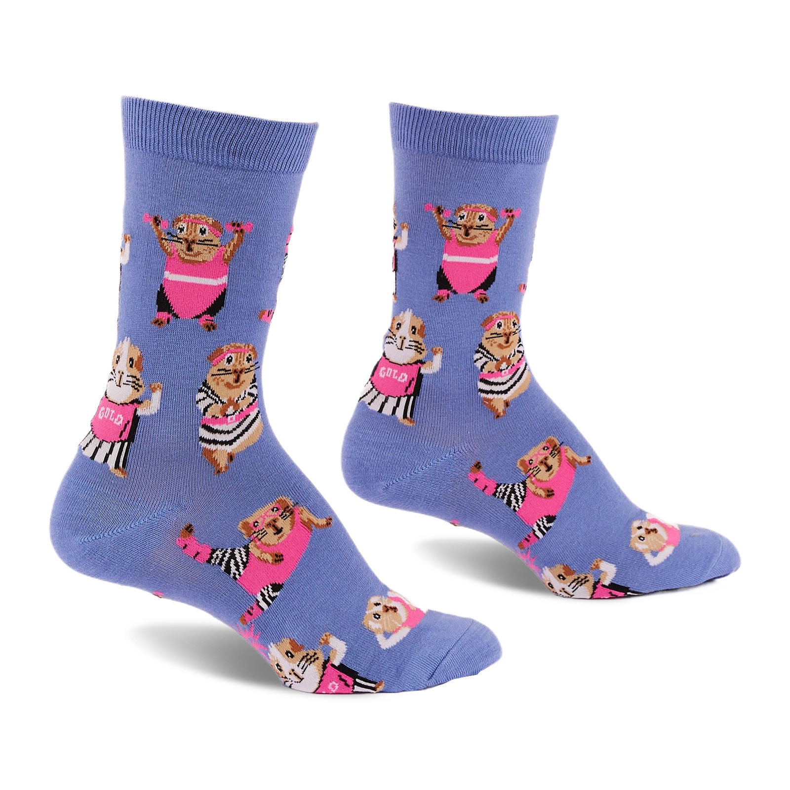 Pair of periwinkle blue crew socks with a pattern of guinea pigs in pink workout gear and headbands, lifting small weights.