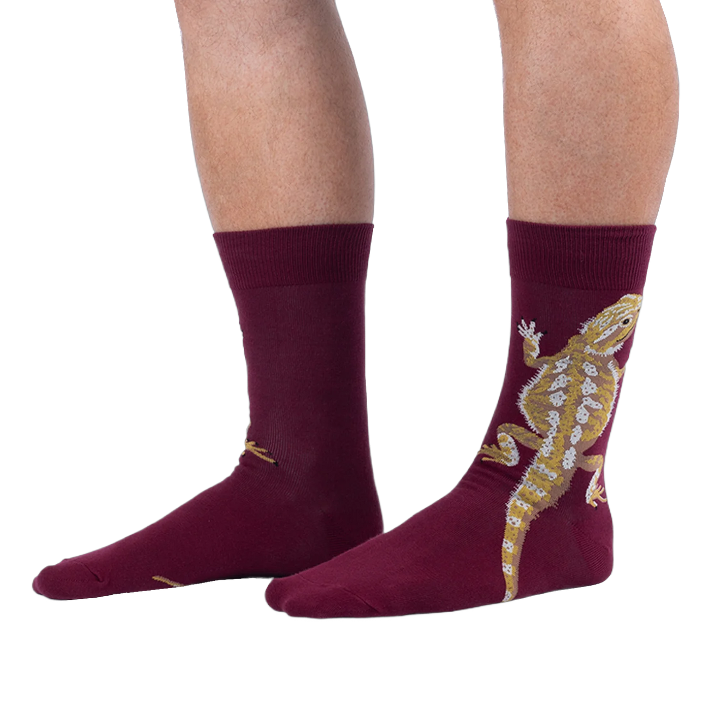 A person wearing burgundy crew socks with a large tan and yellow bearded dragon printed on the outer side of the leg.