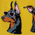 Close-up knit texture of a yellow sock showing a black and tan Doberman wearing pink-rimmed sunglasses.