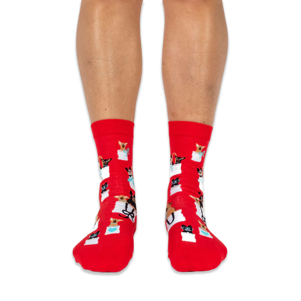 Front view of someone wearing red socks, showing small dogs in white tote bags with teal blue hearts and bows on the shins.