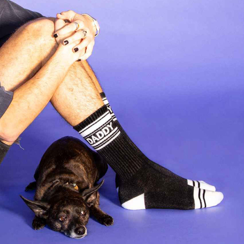 Lifestyle shot: Man wearing black 'Daddy' socks, sitting with his dog against a purple background. [lf]