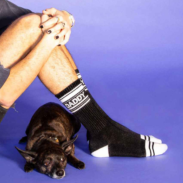 Lifestyle shot: Man wearing black 'Daddy' socks, sitting with his dog against a purple background. [lf]