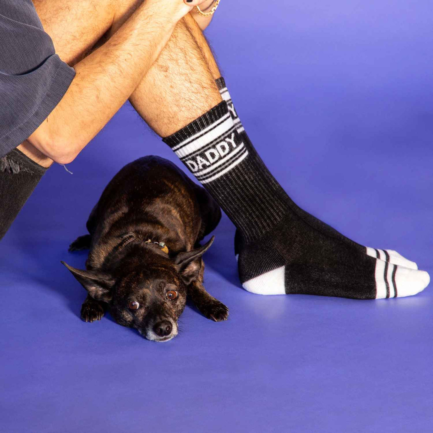 Lifestyle shot:  Similar to the first image, showcasing the socks and dog. [lf]