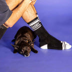 Lifestyle shot:  Similar to the first image, showcasing the socks and dog. [lf]