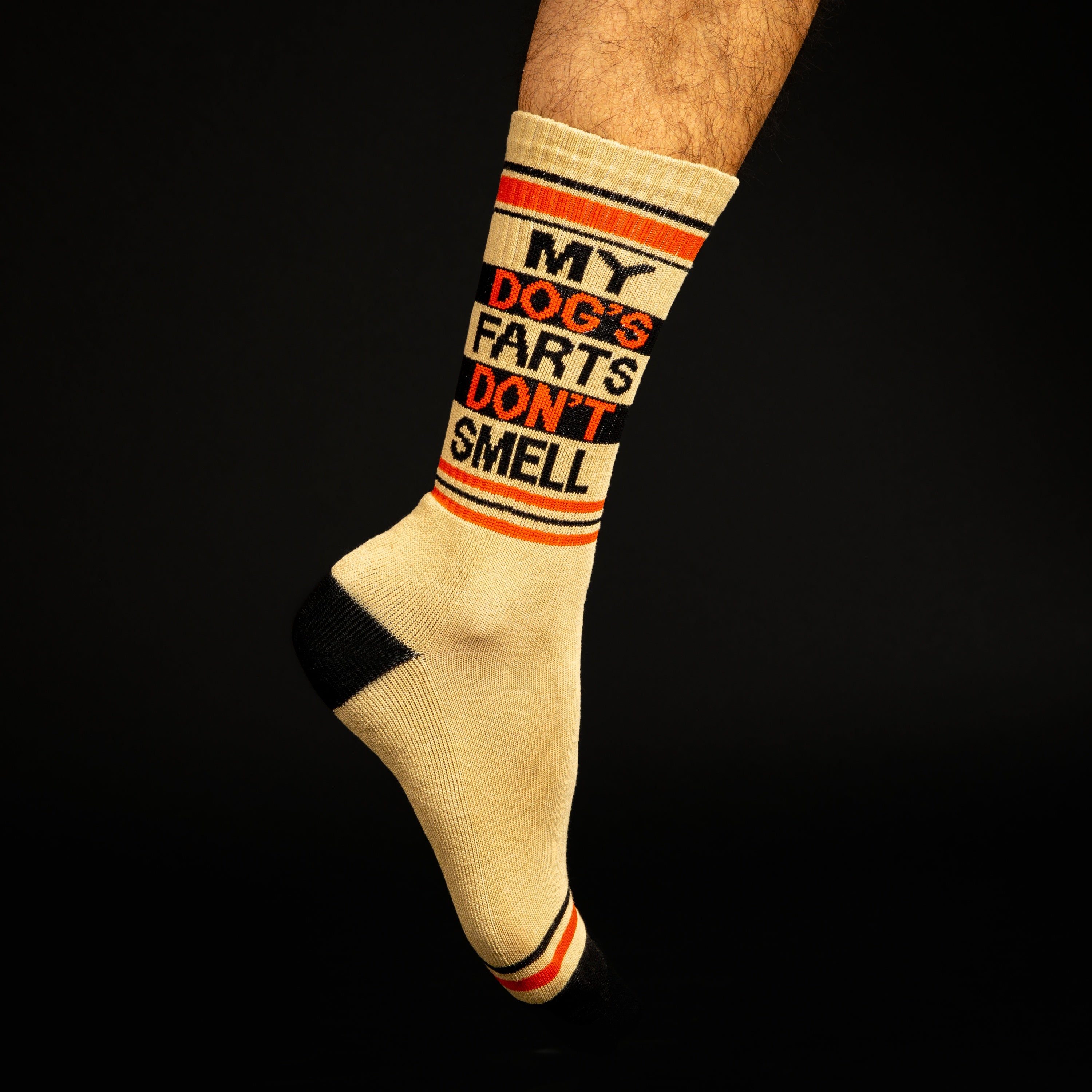 Close-up shot: A single 'My Dog's Farts Don't Smell' sock, showcasing its design and color details. [lf]