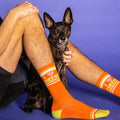 Lifestyle photo of a person wearing the 'I Love Cheese' socks with their dog on a purple background.