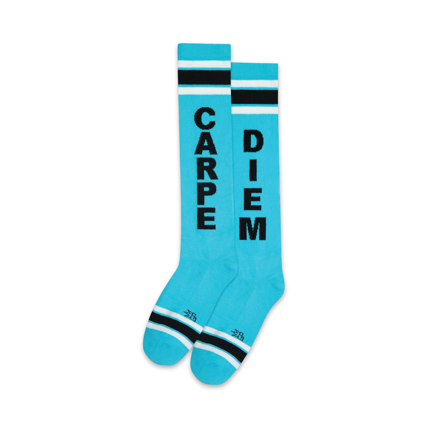 Pair of bright blue knee-high socks with black stripes and 'CARPE' and 'DIEM' vertically printed on each sock.
