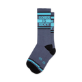 A pair of grey crew socks with teal and black stripes, displaying the text 'SOBER IS SEXY' in teal.