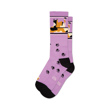 socks that are purple with a black toe and heel. there is a pattern of orange and white cats lounging on a black and white checkerboard floor. the cats have black noses and mouths and are wearing black collars with yellow tags. their eyes are closed.