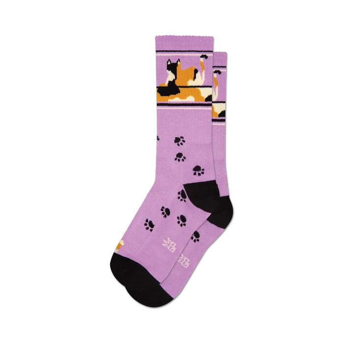 socks that are purple with a black toe and heel. there is a pattern of orange and white cats lounging on a black and white checkerboard floor. the cats have black noses and mouths and are wearing black collars with yellow tags. their eyes are closed. }}