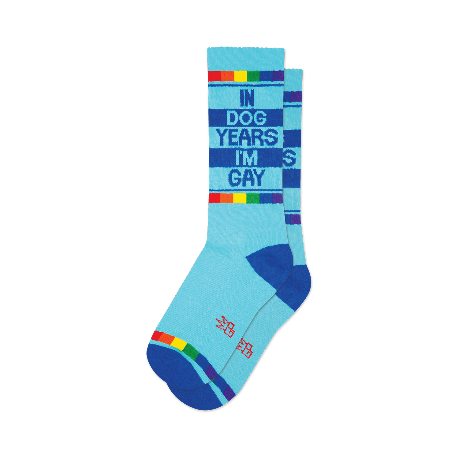 Pair of light blue crew socks with a 'In Dog Years I'm Gay' design and rainbow stripes at the cuffs.