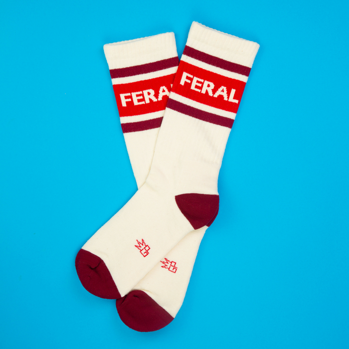 Flatlay of a pair of Feral socks on a bright blue background. They're cream with red and burgundy stripes and the word 'FERAL' on the side.