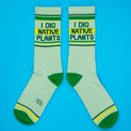 Flatlay product shot of a pair of 'I Dig Native Plants' socks on a bright blue background.