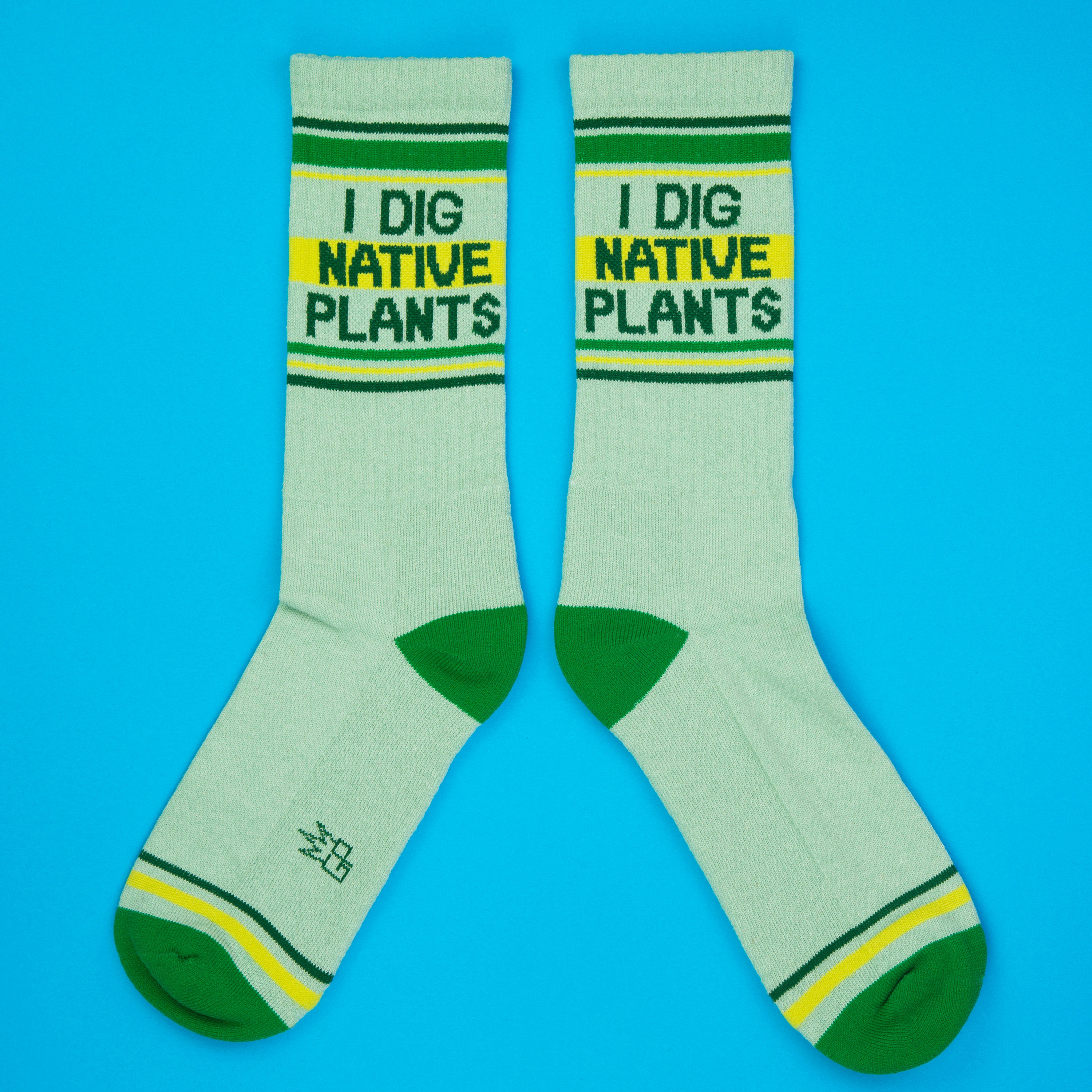 Flatlay product shot of a pair of 'I Dig Native Plants' socks on a bright blue background.