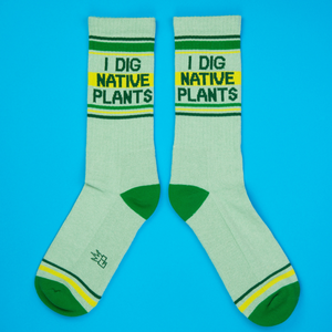 Flatlay product shot of a pair of 'I Dig Native Plants' socks on a bright blue background.