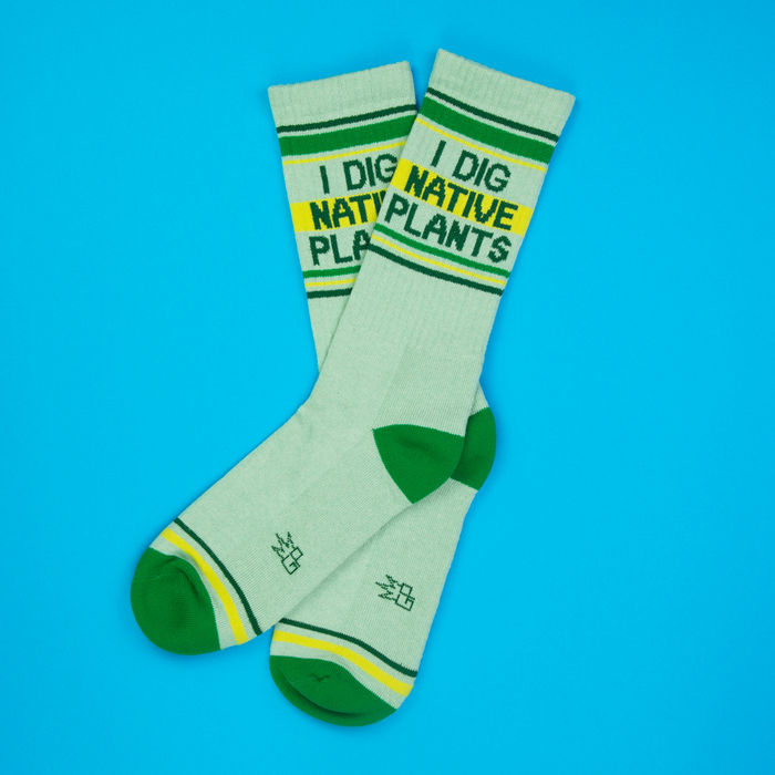 Lifestyle shot of a pair of 'I Dig Native Plants' socks on a bright blue background.