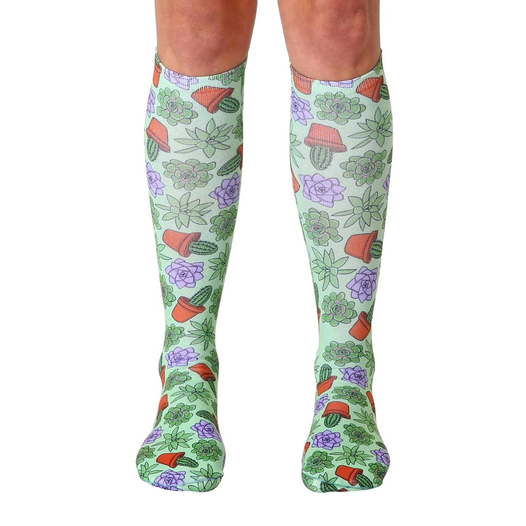 Pair of women's knee-high socks with a pastel green background and all-over print of succulents, cacti, and terracotta pots. [lf]