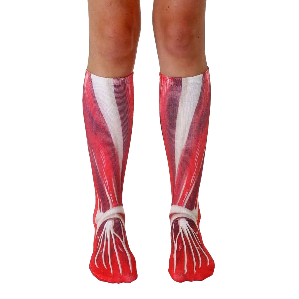 Pair of red and white knee-high socks with a detailed anatomical muscle design printed on them. [lf]