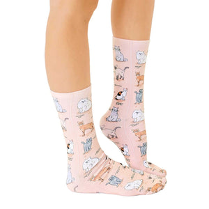 A pair of pink socks with a pattern of various cat breeds, including Siamese, Persian, and Maine Coon.