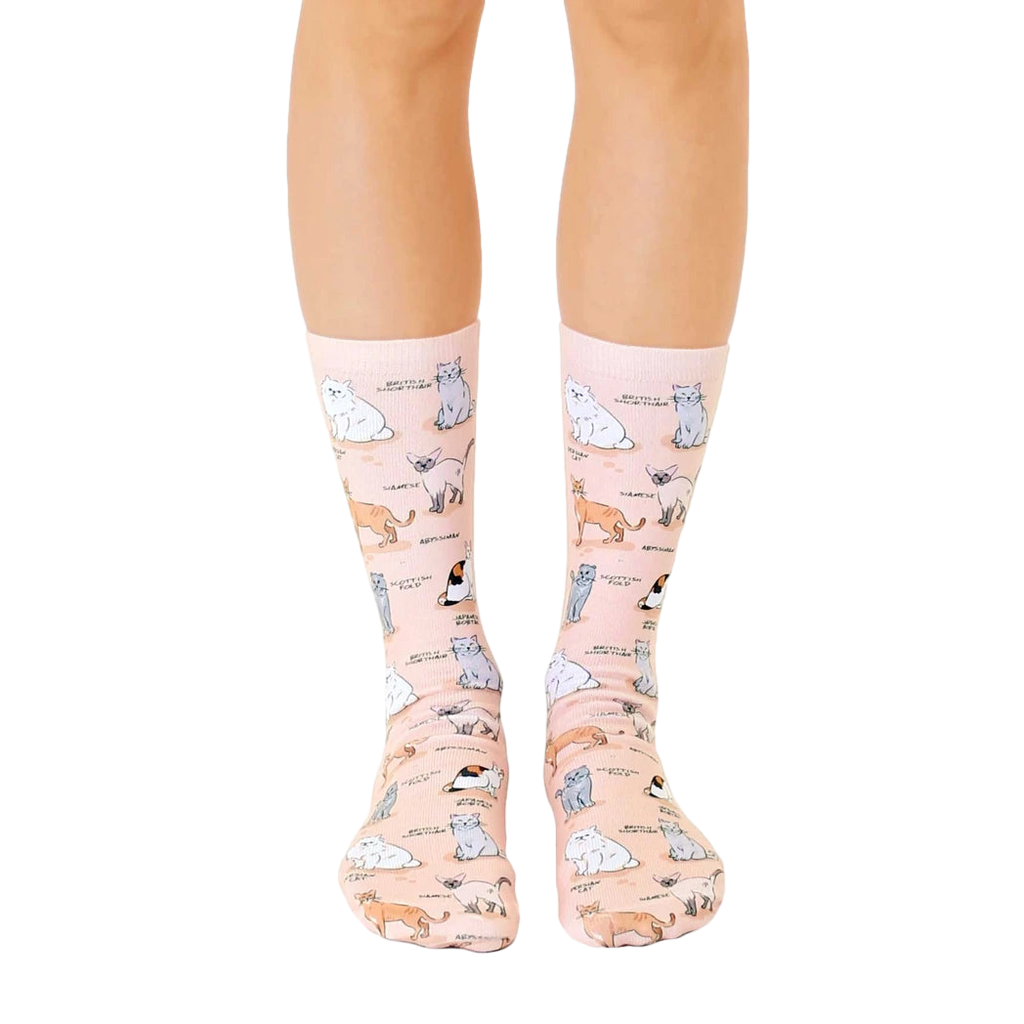 A pair of peach crew socks featuring illustrated cats of various breeds in soft blues and grays.  A fun and whimsical design! [lf]