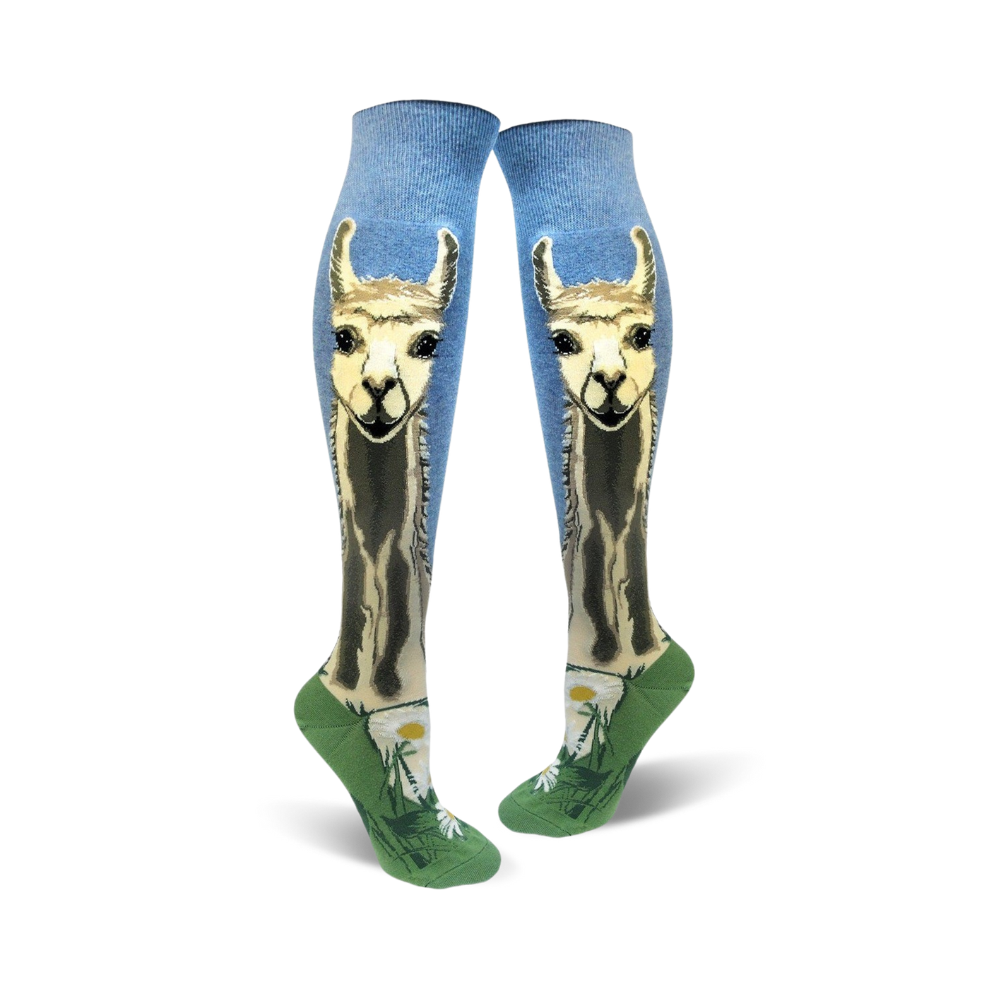 A pair of women's knee-high socks. Light blue background with a llama design, green bottom, and small daisy accents.