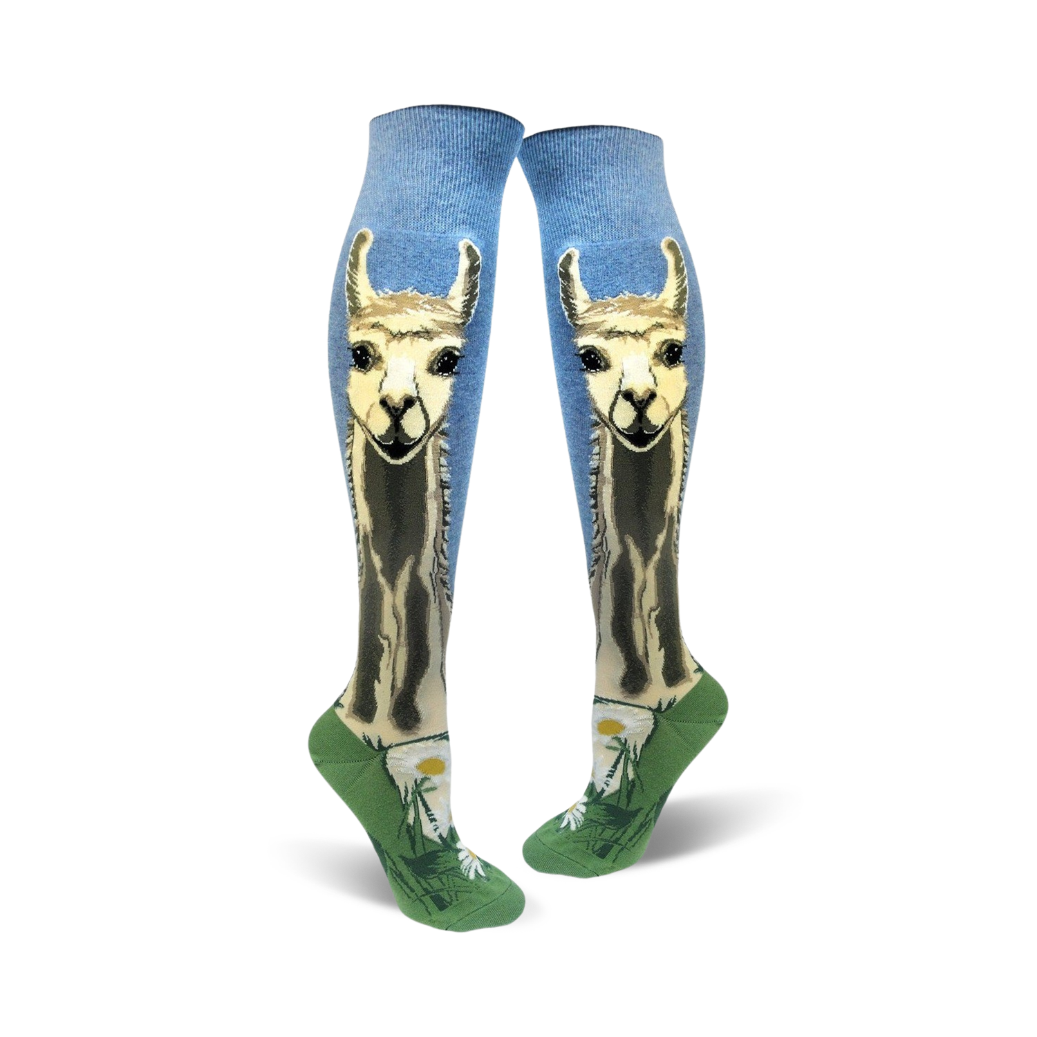 A pair of women's knee-high socks. Light blue background with a llama design, green bottom, and small daisy accents.