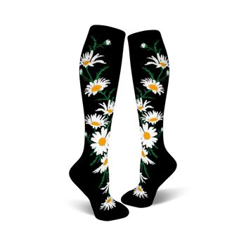 crazy for daisies botanical themed womens black novelty knee high socks