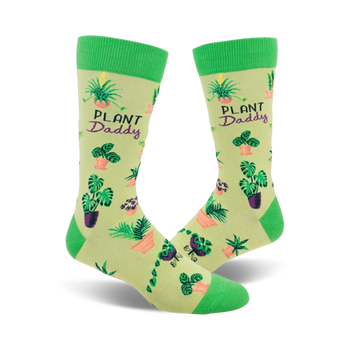 alt text description: green crew socks with black "plant daddy" lettering and a pattern of potted plants.  
