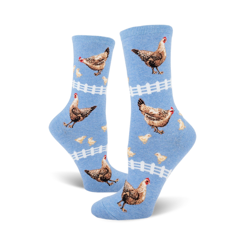 A pair of light blue crew socks with hens, chicks, and white picket fences. The chickens are brown and tan.