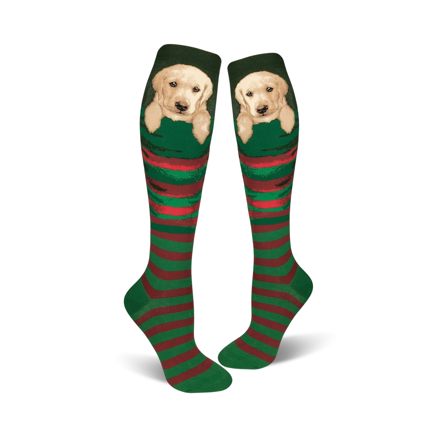 Pair of green and red striped knee-high socks featuring a cute Labrador puppy peeking from the top.