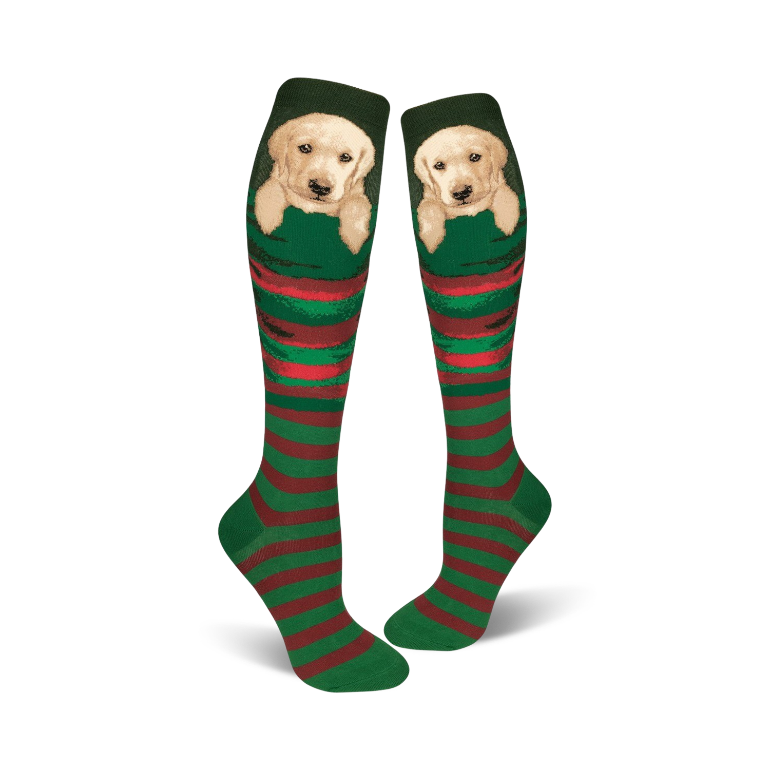 Pair of green and red striped knee-high socks featuring a cute Labrador puppy peeking from the top.
