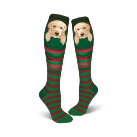 women's christmas knee high socks featuring golden retriever puppy in pocket design on green and red striped background.   