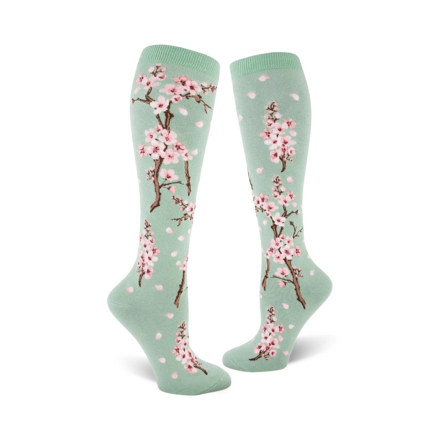 Pair of women's knee-high socks. Mint green background with pink cherry blossoms and falling petals.
