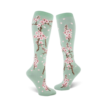   light green socks with a pattern of pink and white cherry blossoms, brown stems, and green leaves. womens knee high sock.   