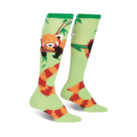 green knee-high womens socks with sleeping red pandas and bamboo leaves.   