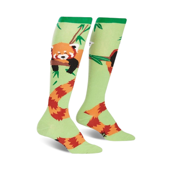 green knee-high womens socks with sleeping red pandas and bamboo leaves.   