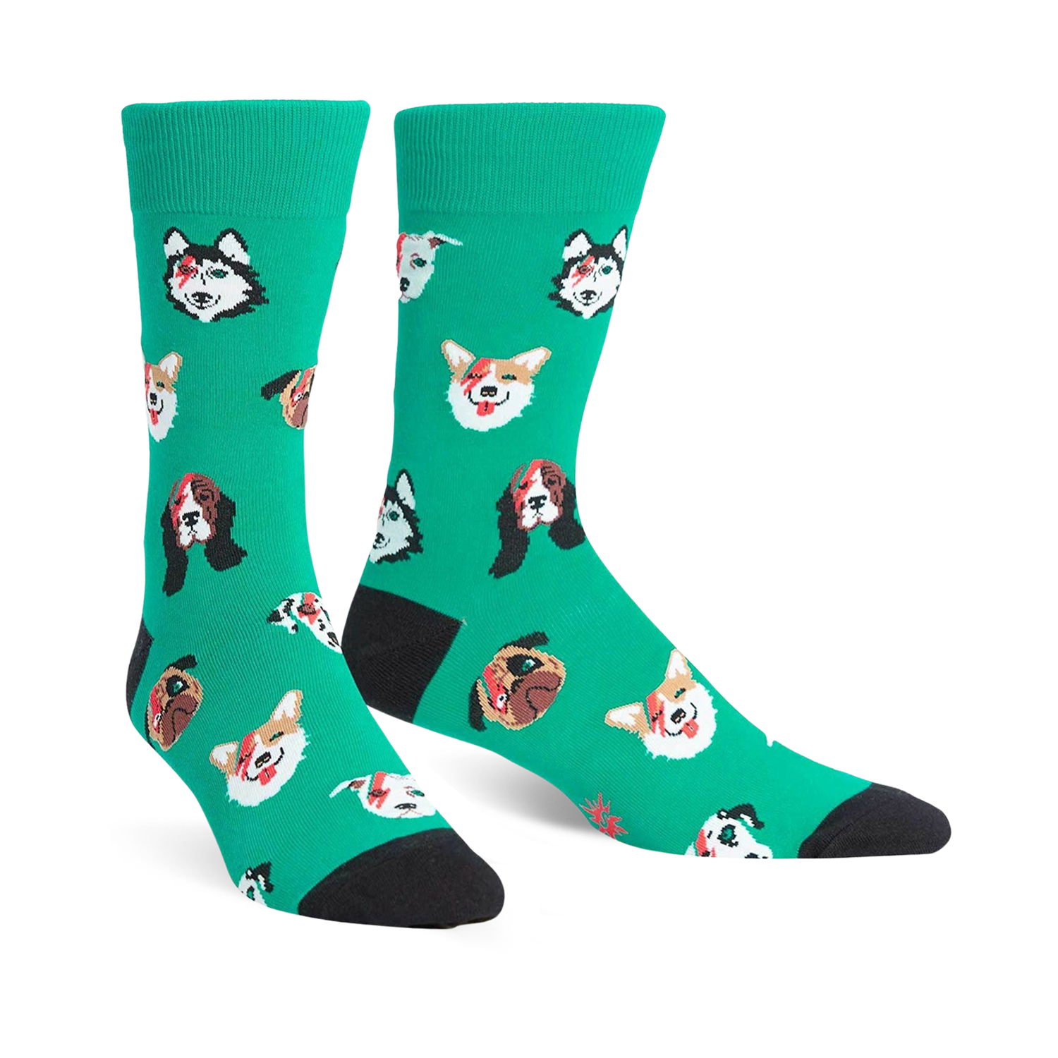 Crew socks in teal with an all-over print of dogs' faces.  The dogs are pugs, huskies, and corgis with a rock and roll theme.