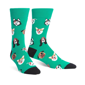 bright green crew socks with a pattern of cartoon dogs in sunglasses, various dog breeds, men's.   
