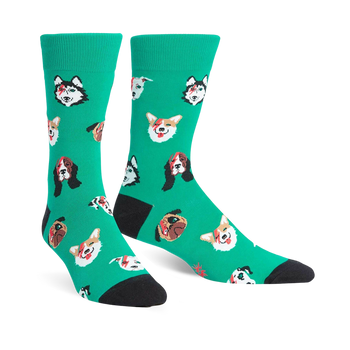 dogs of rock dog themed mens green novelty crew socks