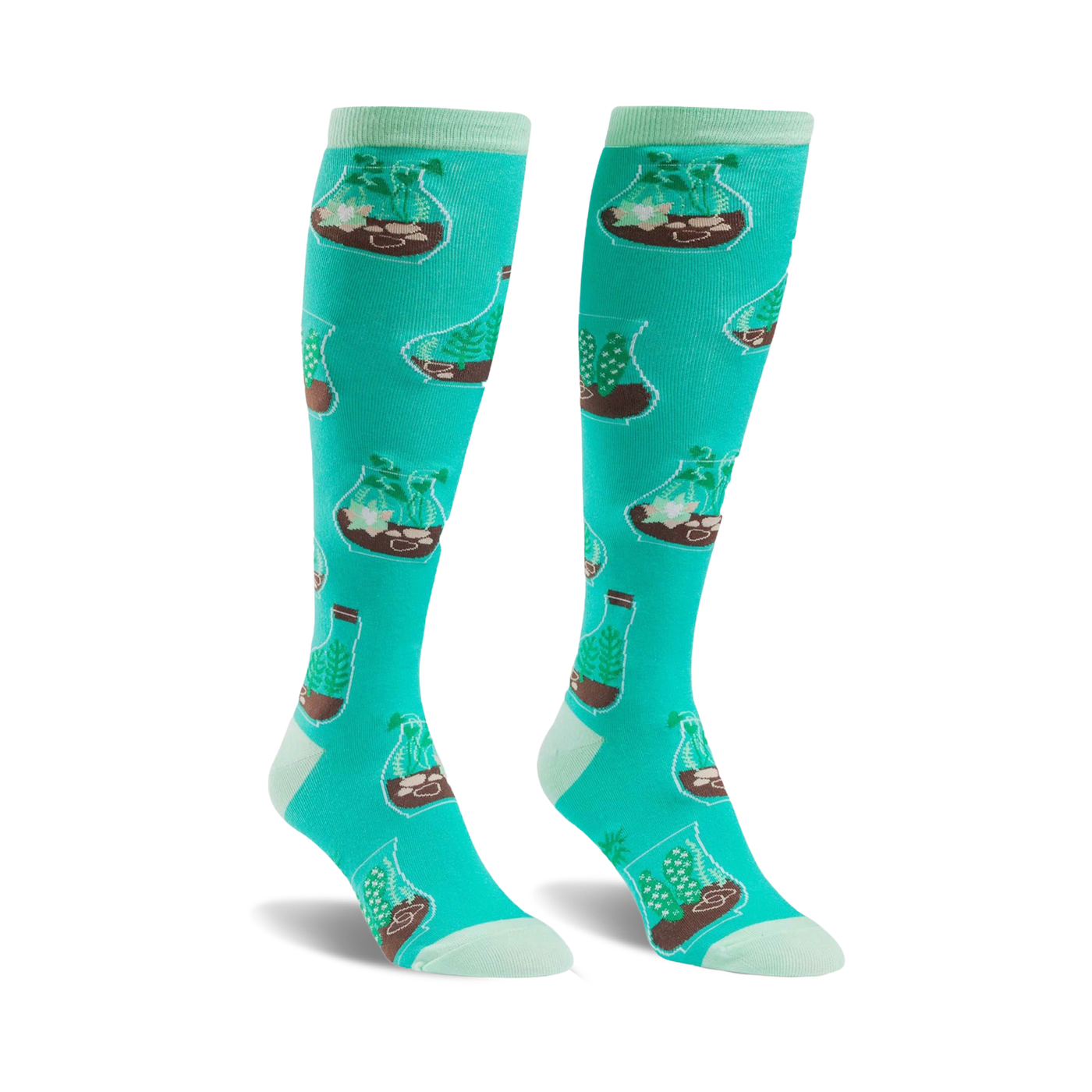 Pair of teal knee-high socks with a repeating pattern of terrariums containing various plants.  