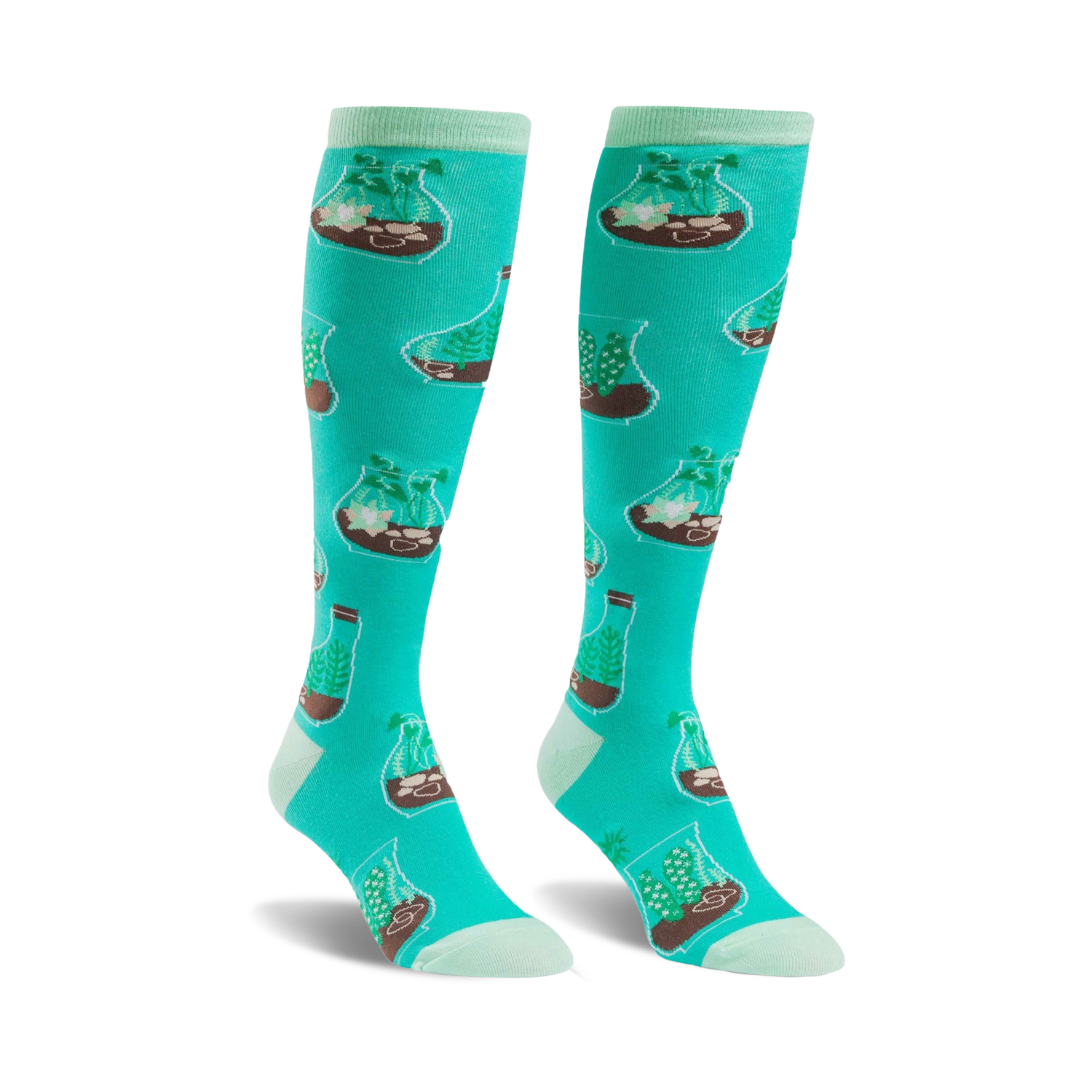 Pair of teal knee-high socks with a repeating pattern of terrariums containing various plants.  