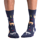 Lifestyle shot:  A person's legs showing off the Llama Drama socks.