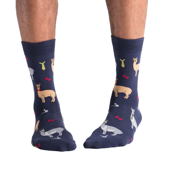 Lifestyle shot:  A person's legs showing off the Llama Drama socks.