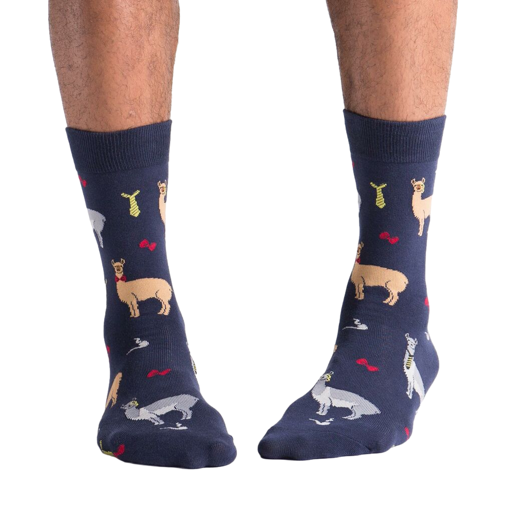 Another lifestyle shot: Close-up view of the Llama Drama socks on a person's legs.