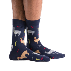 Close-up of the Llama Drama sock pattern, highlighting the detail of the llama designs and accessories.