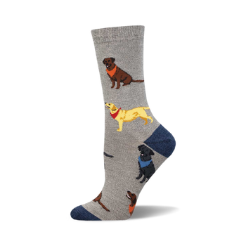 socks that are gray with a pattern of labradors wearing red, blue, and orange scarves.